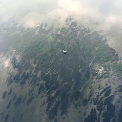 High angle view of bird swimming in sea