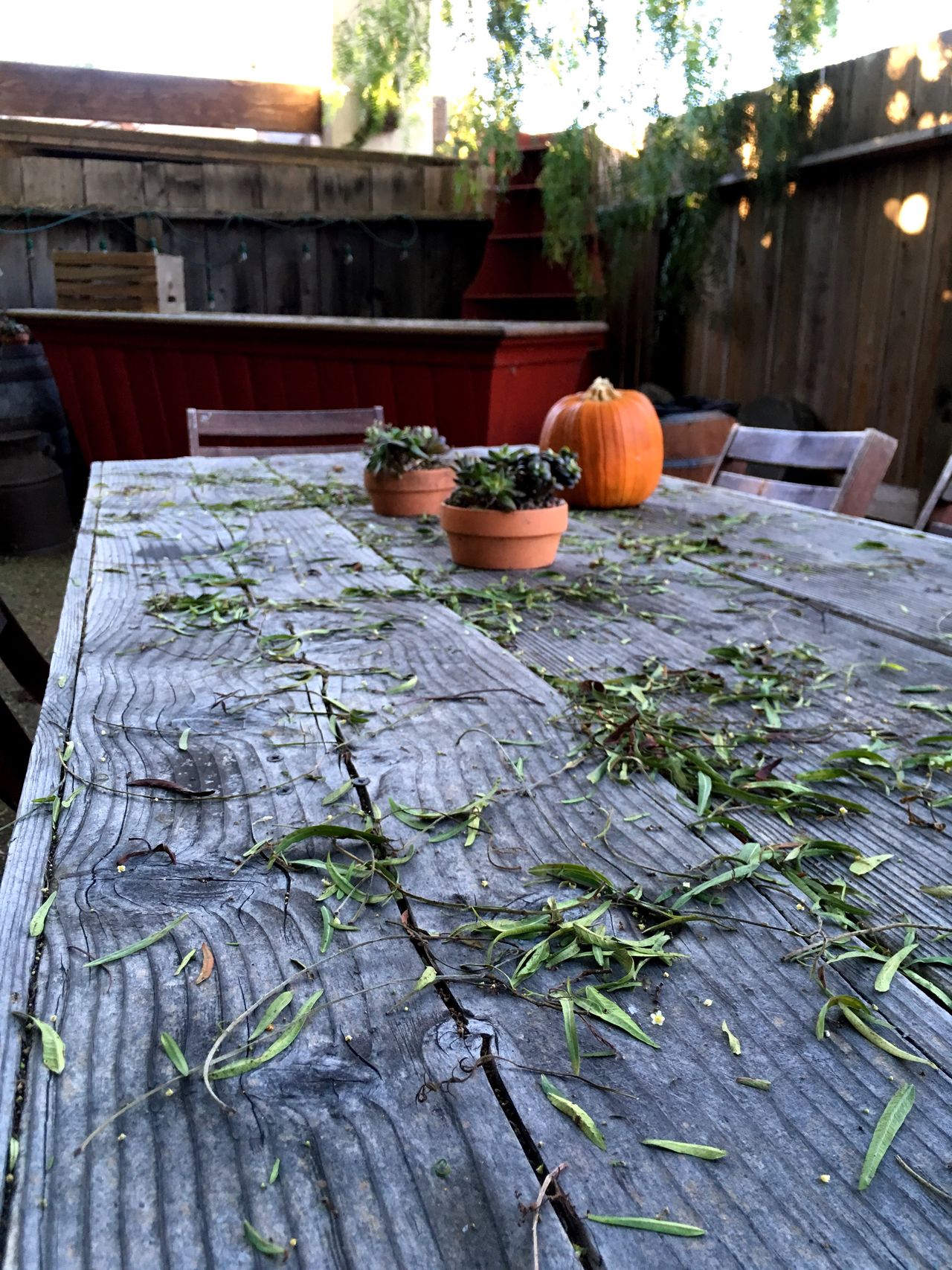 Fall table