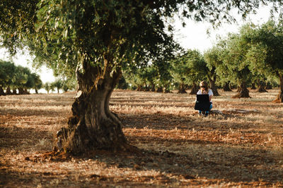 Woman using laptop while sitting at olive orchard