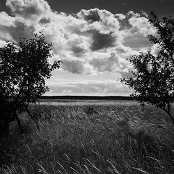 Scenic view of field against cloudy sky