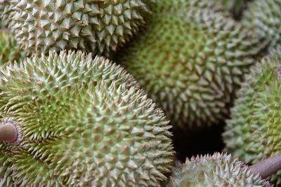 Full frame shot of durians for sale in market
