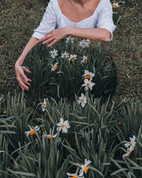 High angle view of flowering plants on field