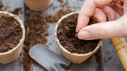 Cropped image of hand holding food