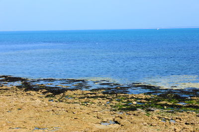 Scenic view of sea against clear sky