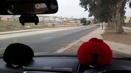 Rear view of a man in car