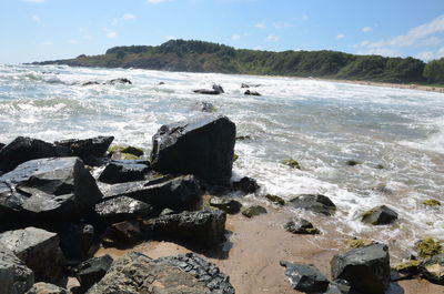 Scenic view of sea shore against sky