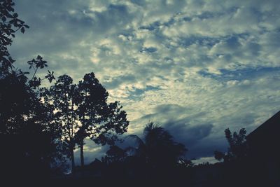 Low angle view of silhouette trees against sky