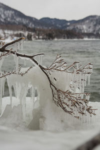 Close-up of water on beach