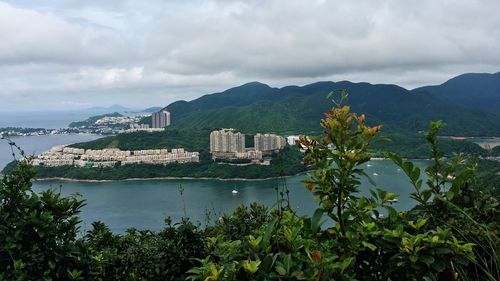 Plants by city at sea shore against cloudy sky