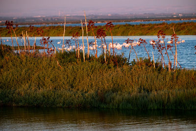 Scenic view of lake against sky