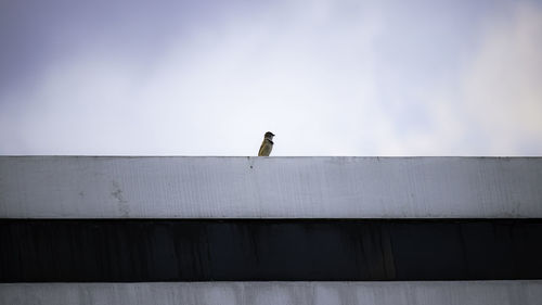 Low angle view of bird perching on roof against sky