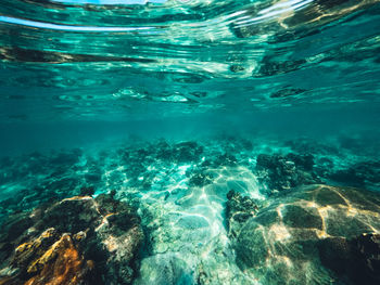 High angle view of swimming in sea