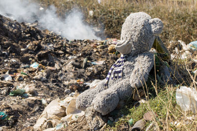 A teddy bear lies thrown away in the middle of a garbage fuming landfill.the  environmental disaster