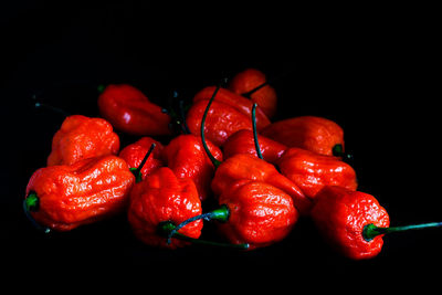 Close-up of red chili peppers against black background