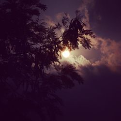 Low angle view of silhouette trees against sky