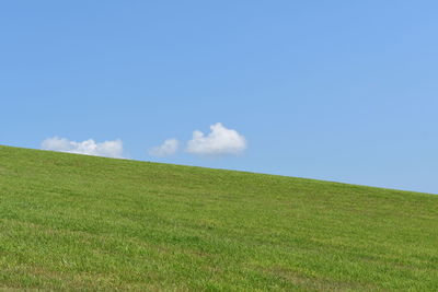 Scenic view of grassy field against sky