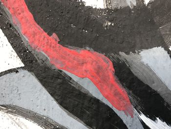 Close-up of red leaf