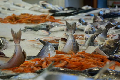 Close-up of fish for sale in market