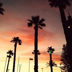 Low angle view of palm trees against sky