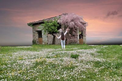 Flowering plants on field against building