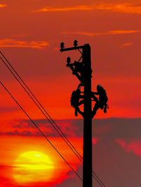 Low angle view of silhouette street light against orange sky