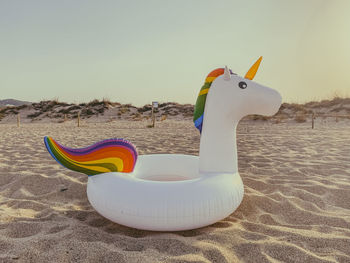 View of a bird on the beach