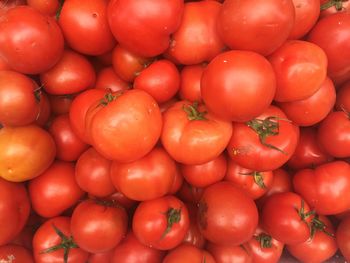 Full frame shot of tomatoes