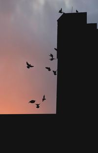 Low angle view of silhouette birds flying against sky during sunset