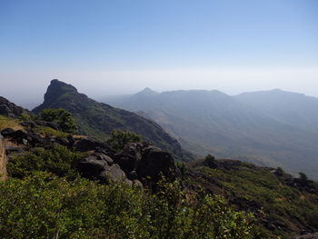 Scenic view of green landscape