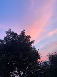 Low angle view of silhouette tree against sky during sunset