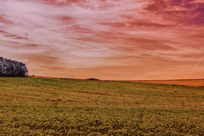 Scenic view of field against sky during sunset