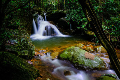 View of waterfall in forest