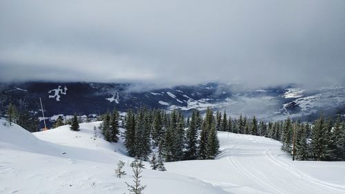 Trees on snow covered landscape against sky