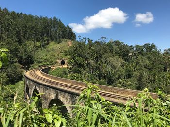 High angle view of railroad tracks amidst plants