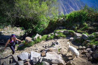 Side view of woman standing by rocks against plants