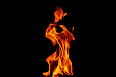 Close-up of burning fire against black background