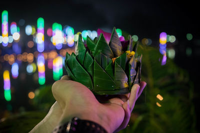 Close-up of hands holding leaves at night