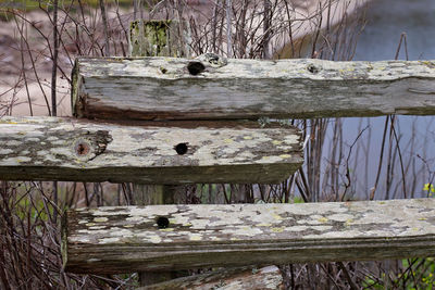 View of wooden log in lake