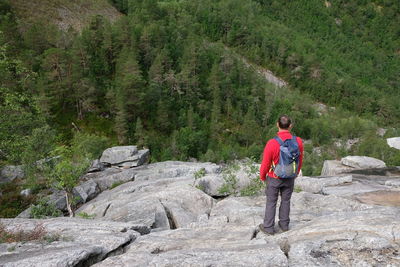 Rear view of man standing on rock