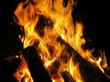 Close-up of bonfire at night