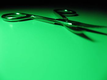 Close-up of object on the wall