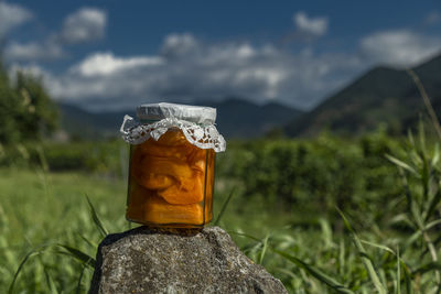 Close-up of drink on field