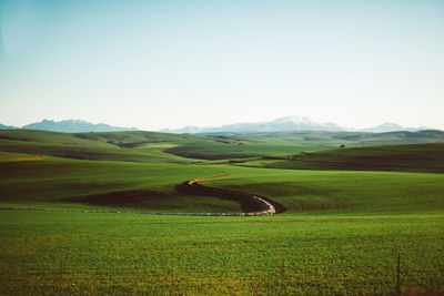 Scenic view of agricultural field against sky