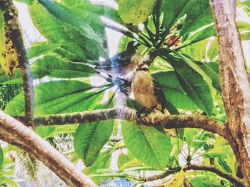 Bird perching on a tree