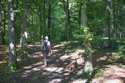 Woman walking the dog in forrest