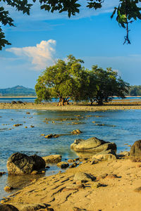 Scenic view of lake against sky