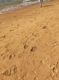 Low section of people standing on beach