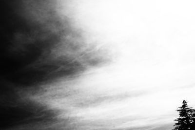 Low angle view of tree against sky