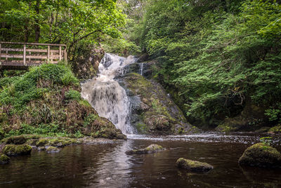 Scenic view of waterfall in forest
