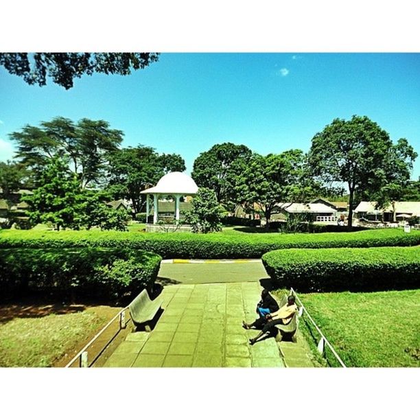 transfer print, tree, grass, green color, clear sky, building exterior, architecture, built structure, growth, auto post production filter, lawn, sunlight, green, plant, field, blue, shadow, nature, park - man made space, sky